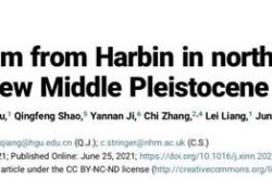科学者たちは146、000年前に北東部でドラゴンマンという名前の新しい種族を発見しました