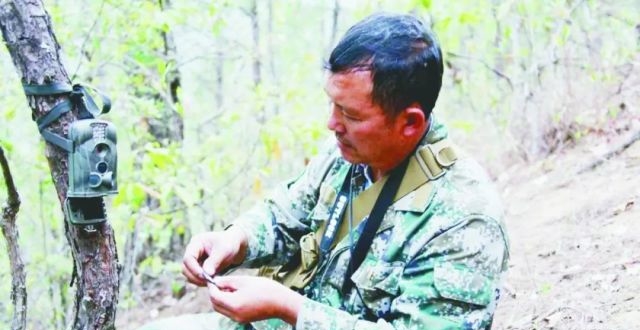 ������˻��������ػ��ߣ������������������