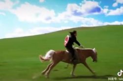 超さびた！内モンゴルの裁判官は国章を持った馬で事件を運んだ。