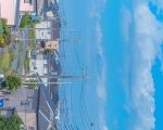 壁纸 夏日甜甜的晚风