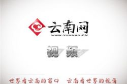 山歌唱給最美的你 彩雲之南再唱山歌給黨聽