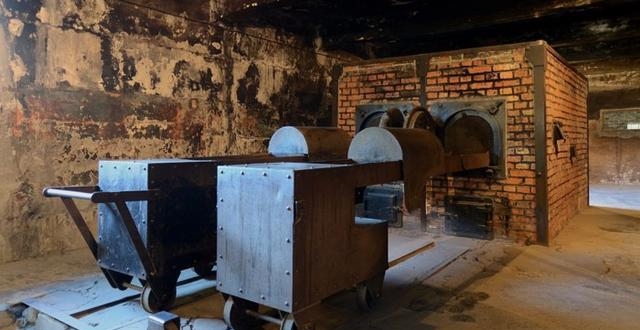 奥斯维辛集中营的恐怖:令人作呕的纳粹毒气室内部