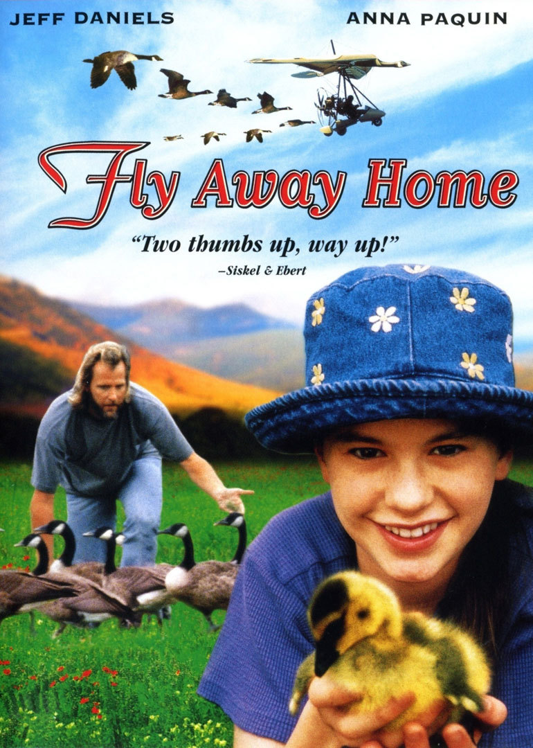 伴你高飞 Fly Away Home (1996)