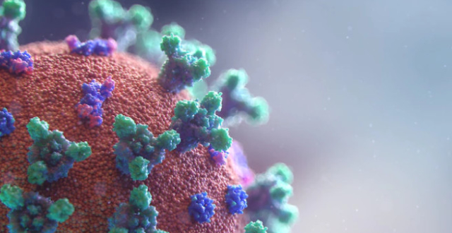 �۴����ˮ������¶������ֲ�����������۱������ڲ���ȷ��