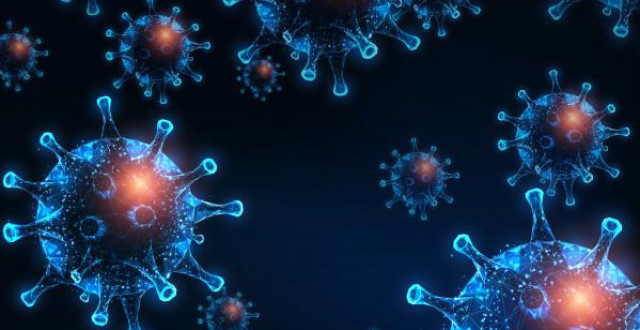 �������1����������ȷ�ﲡ����Ϊ��������