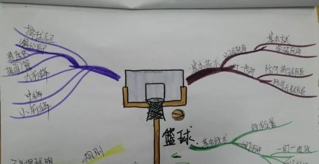 篮球的思维导图高清图片