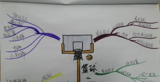 【德州十一中】体育学科思维导图 2020-2021第二学期