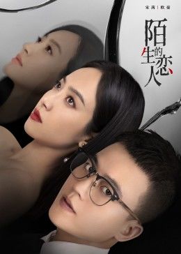 陌生的恋人封面图