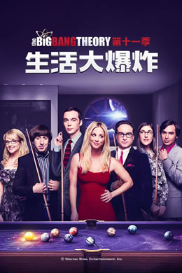 生活大爆炸第十一季封面图