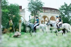 @ر红女副主任、亳州林永城乗馬基地はあなたを馬に乗せるように誘います！