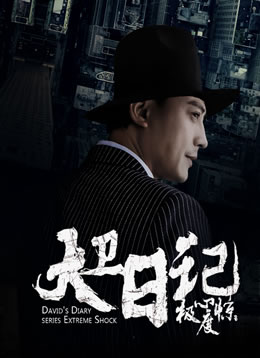 大卫日记之极度惊心封面图