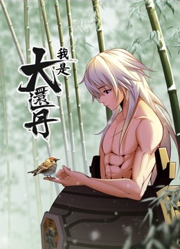 我是大还丹封面图