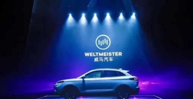 威马双LOGO战略背后的两张底牌_腾讯新闻