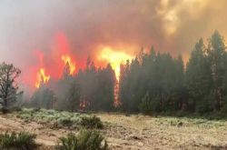 درجات الحرارة الشديدة في الولايات المتحدة: تأثرت 11 ولاية بحرائق الغابات ، واتضح أن الجاني هو "القبة الساخنة"