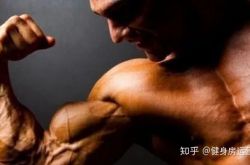 为何加大训练量反而肌肉掉了点，增长缓慢，体脂却一直降不下去？