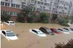 عين العاصفة | إلهام من الأمطار الغزيرة في خنان: غمرت المياه السيارات والحقول وانهارت المنازل .. ما هي التأمينات التي يمكن أن تدفع ثمن الكارثة؟