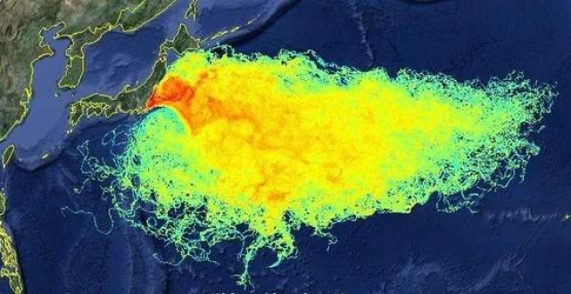 日本核废水的危害有多大?32条腿的章鱼,疑遭辐射变异