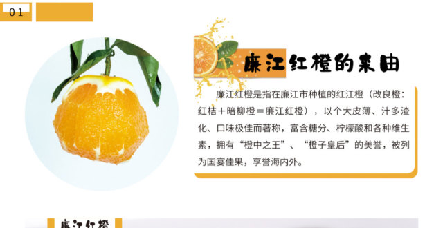 廉江红橙广告宣传语图片