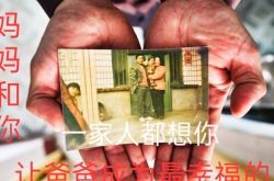 متابعة "اليتيم المفقود" لم شمل Guo Gangtang: يقرر الطفل البقاء مع والديه بالتبني ، وأعبر عن دعمي