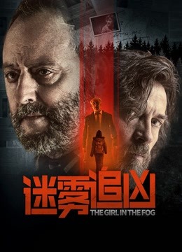 迷雾追凶封面图