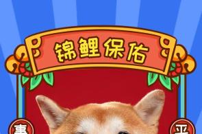 家居风水布局与五行的关系 腾讯新闻