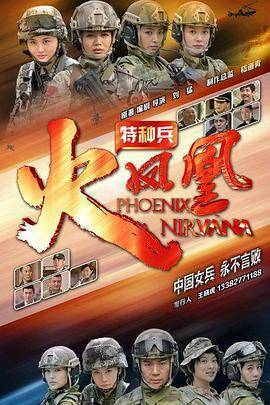 特种兵之火凤凰dvd版电视剧-免费在线观看全集高清版-星辰影院