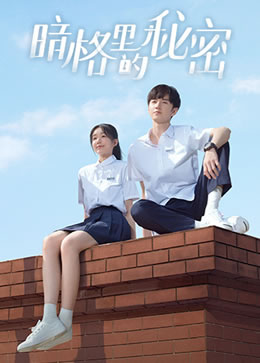 暗格里的秘密封面图