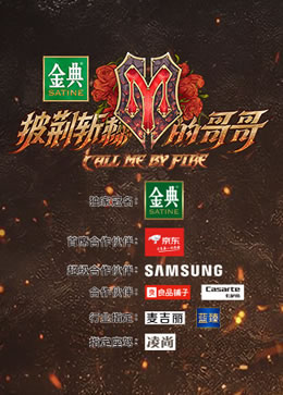 披荆斩棘的哥哥封面图