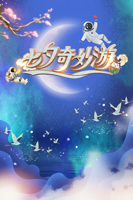 七夕奇妙游封面图