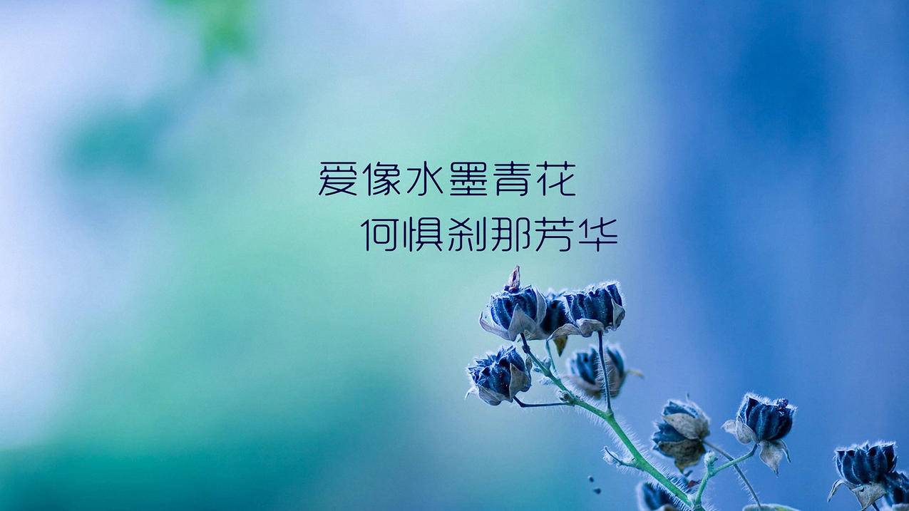 快手点赞墨言_快手点赞墨言是真的吗