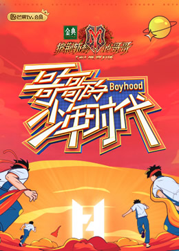 哥哥的少年时代封面图