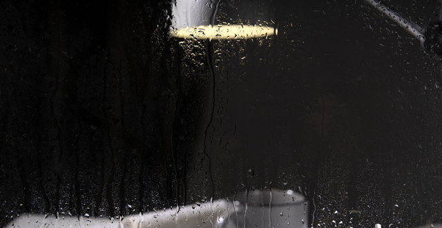 初秋时节,最喜"夜雨孤灯乱翻书"