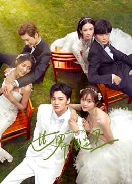 世界微尘里封面图