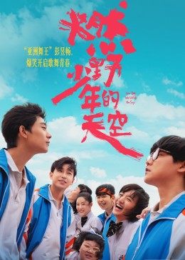 燃野少年的天空封面图