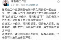谢明浩实名举报林俊杰，证据终于拿出来了，网友看完后表示很失望