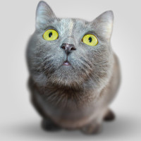 大众点评家装入门版商户通后台操作教学