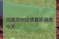 今日の河南省鄭州での流行に関する最新ニュース