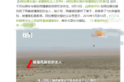 Yu Yuexianはラクダの所有者によって殺されました：すべてカブスを妊娠していて、ピークごとに20,000元を支払います