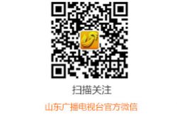 体の不安はビジネスチャンスを生み、合宿は悲劇を引き起こします...減量サークルの混乱はいつ止まりますか？