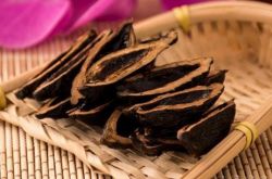 トルコはビンロウの実を「薬」として分類しています