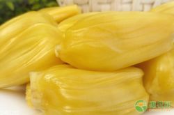 ドリアンの蜂蜜はどのように味わいますか？それを取り除く方法は？