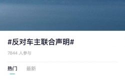 ウェイライの自動車所有者の間で「争い」を引き起こし、共同声明の発案者であるリン・ウェイは「個人的な利益はない」と述べた。