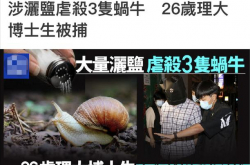 تم القبض على طبيب هونغ كونغ الذي ألقى الملح على الحلزون ، ماذا حدث؟ هل يجب قتل هذا الحلزون؟