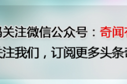 تم الإبلاغ عن Guojiao 1573 لاستخدام الشعار للترويج للرد الرسمي! بدأ التحقيق! | جرافيك | مسح