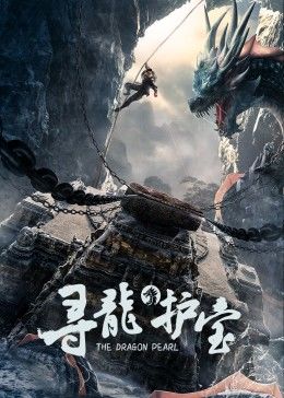 寻龙护宝封面图