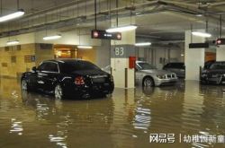 激しい暴風雨が杭州を襲い、スコール風が木々を吹き飛ばして車を抑制し、地下駐車場が浸水しました。