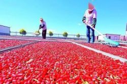 中国の中所得層は4億人を超えましたが、中所得軍はどうすれば「集団を拡大」できるのでしょうか。