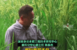 「おじいちゃん元、 『ヘクシアの下で寒さを楽しむという夢』が実現しようとしています！」