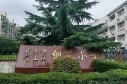 誰もがひどく歌いますか？この地区の12の学校の力強い台頭は、市の雄牛を競争に引き付けました