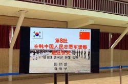 韓国がその場を襲った！韓国ボランティア軍の109人の殉教者が帰国し、彼らのふりの場面が暴露された
